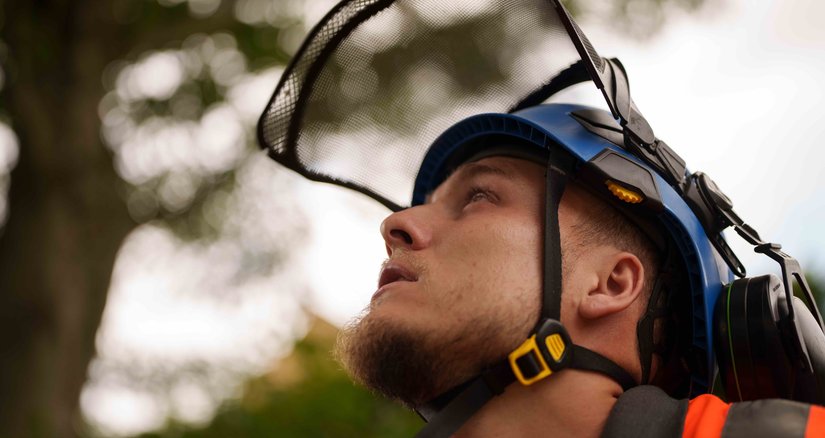 A military veteran and arborist called Kane looking up at a tree as he's about to do aerial tree work